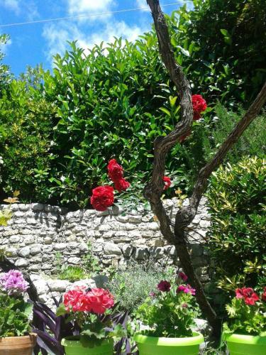 Gallery image of Apartments Milicevic in Herceg-Novi