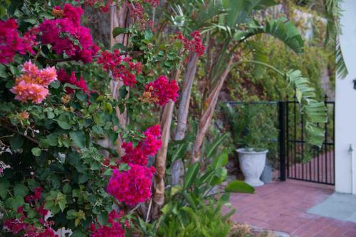 a garden with pink flowers and a fence at Meadows Mountain View in Hout Bay