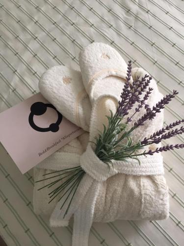 a towel with a book and a bundle of lavender at Allaportaccanto Bed & Breakfast in Cassino