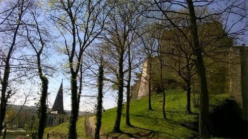 a group of trees in front of a castle at Le Gîte des Marguerites in Montrichard