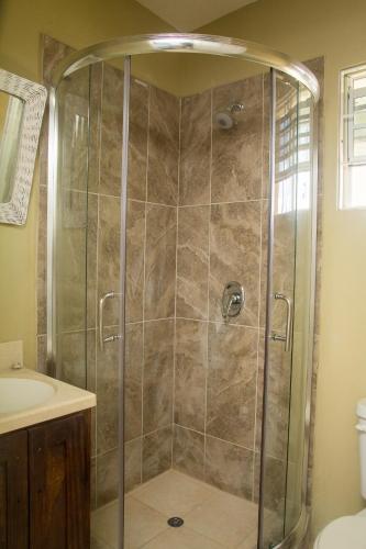 una ducha con puerta de cristal en un baño en Believe Caribbean Apartment, en Bridgetown
