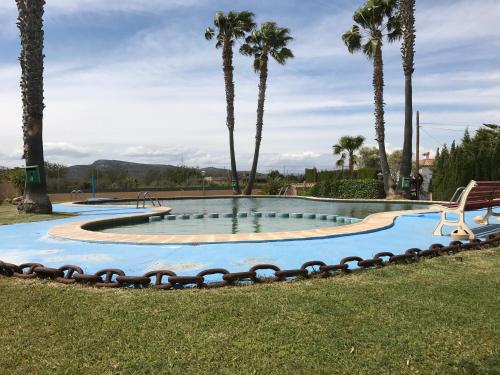 a swimming pool with palm trees in a park at Casa Pareada en Peñiscola in Peñíscola