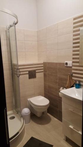 a bathroom with a toilet and a sink at DobraNocka in Kaleń
