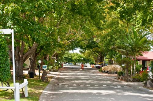 a tree lined street with a road with trees at Lani's Holiday Island in Forster