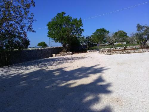 a dirt road with a tree and a wall at Trulli Sarmenzanello in Noci