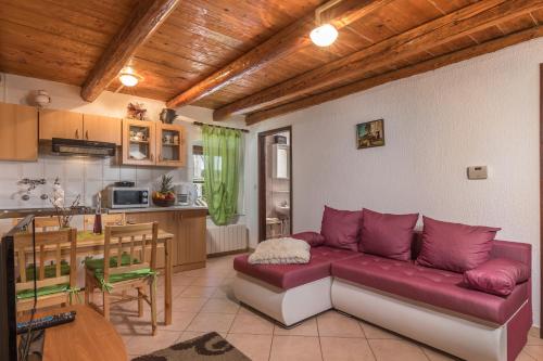 Dapur atau dapur kecil di Apartmani Žiković