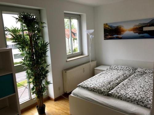 レーゲンスブルクにあるApartment Downtownのベッドルーム1室(ベッド1台、植物付)