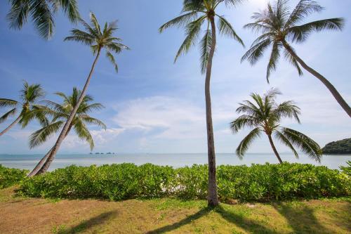 two palm trees on a beach with the ocean at Lipa Talay Haa in Lipa Noi