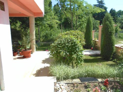 a garden with plants and trees and a building at Villa Mari Guest Rooms in Golden Sands