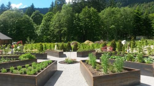a garden with severalpots of plants at Kienle - das Kräuterhotel in Balderschwang