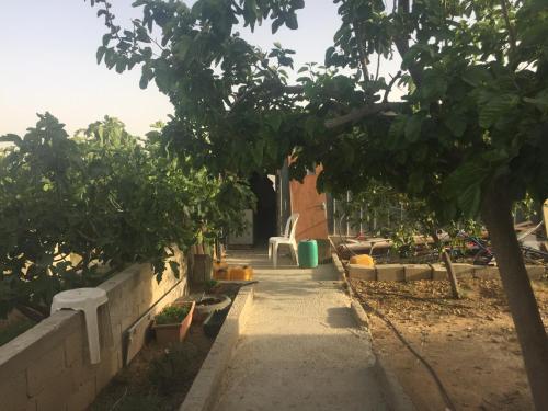 a garden with a chair and trees and a sidewalk at Khan Alsira - חאן אלסרה in Alsira