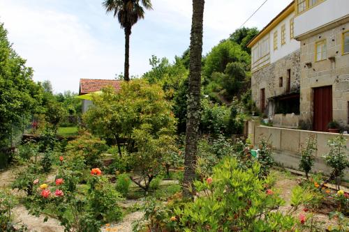 een tuin met een palmboom en een gebouw bij Casa de Encosturas in Cabeceiras de Basto