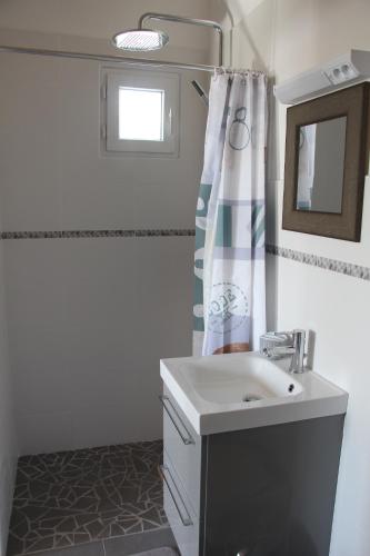 uma casa de banho com um lavatório e um espelho em Le grenier a sel em Marennes