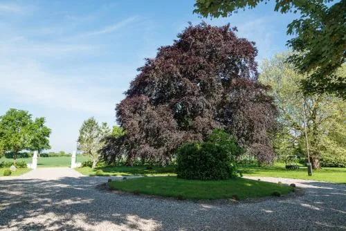 Ferienhof Kolauerhof - Bauernhofurlaub in Grömitz photo 14