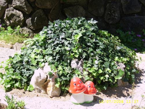 two toy ducks sitting in front of a plant at Apartments Cvelic Milovcic in Malinska