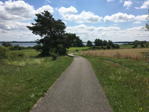 a road in the middle of a field with a tree at Apartmenthaus Lütt Meer in Ludorf