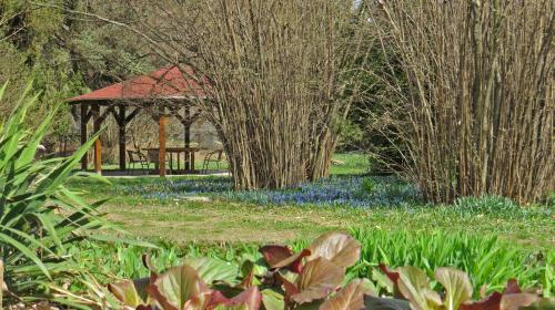 a gazebo in a garden with blue flowers and trees at Tarjányi Vendégház in Recsk