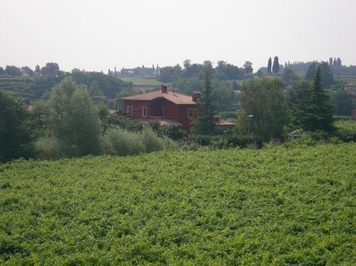 a red house in the middle of a green field at Agriturismo Al Dugale in Lazise