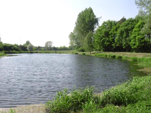 a river with grass and trees on the side at Camping-Aller-Leine-Tal in Engehausen