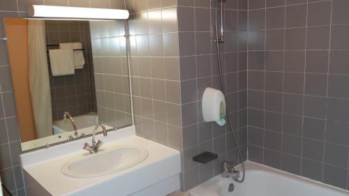 een badkamer met een wastafel en een spiegel bij Hôtel Le Tulipier in Cransac