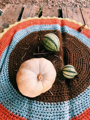 two pumpkins sitting in a basket on a rug at Chakana Hospedaje Rural in Villa Unión