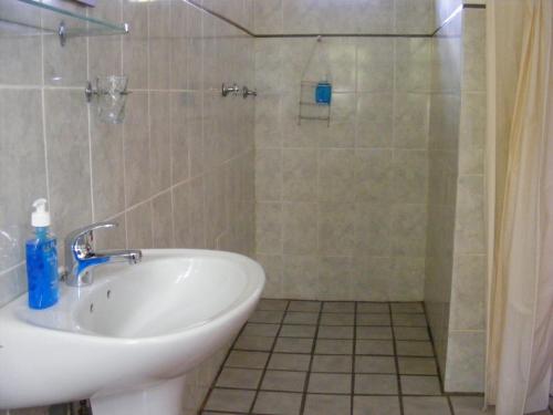a bathroom with a sink and a shower at Mountain View Swellendam in Swellendam