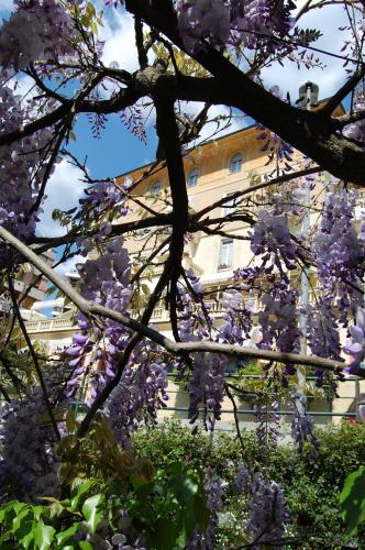 Zahrada ubytování Hotel Canali, Portofino Coast