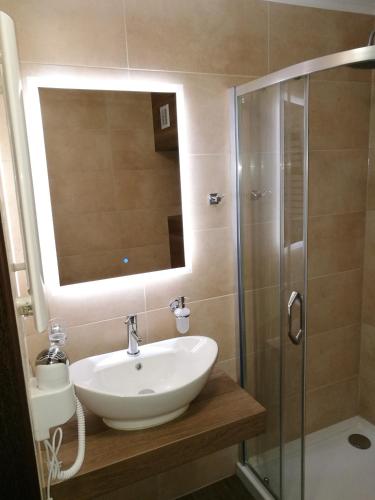 a bathroom with a sink and a shower at Hotel Zakliki in Kraków