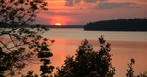 a sunset over a body of water with a tree at Tivedens Hostel-Vandrarhem in Karlsborg