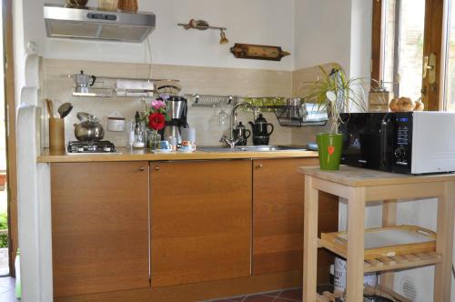cocina con fregadero y microondas en Agriturismo Colombino, en Siena