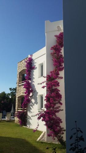 a building with purple flowers on the side of it at Sun Garden Apart Hotel in Yalıkavak