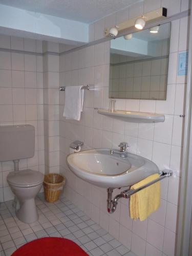 a bathroom with a sink and a toilet at Hotel-Café-Restaurant Parkhaus in Altenau