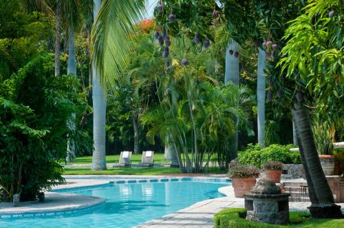 a swimming pool in a resort with palm trees at Hacienda San Gabriel de las Palmas in Amacuzac