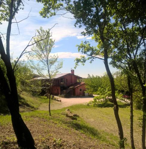 a view of a red barn through the trees at Bosco Romagno in Cividale del Friuli