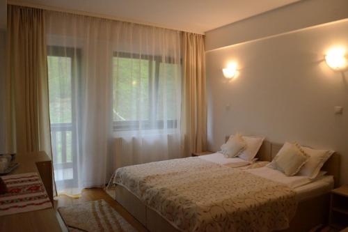 Habitación de hotel con cama y ventana en Pensiunea Stejarul, en Mierea