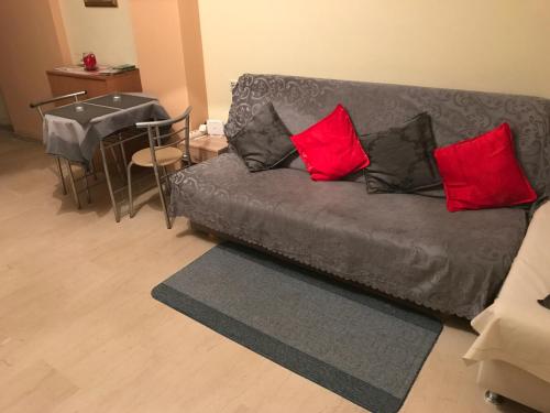 テッサロニキにあるCozy Apartmentのリビングルーム(赤い枕とグレーのソファ付)