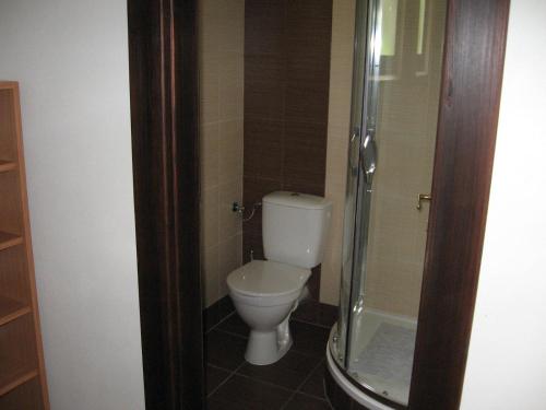 een badkamer met een toilet en een glazen douche bij Apartment Panteon Basecamp in Malá Skála