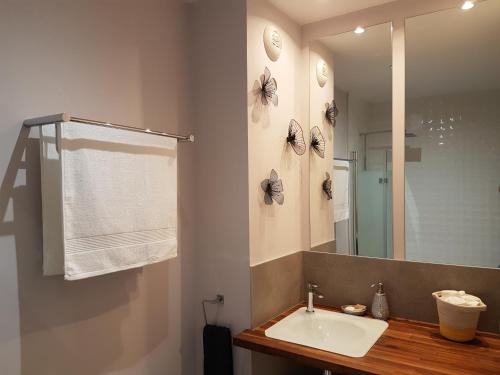y baño con lavabo y espejo. en Apartment Cap Larros, en Gujan-Mestras