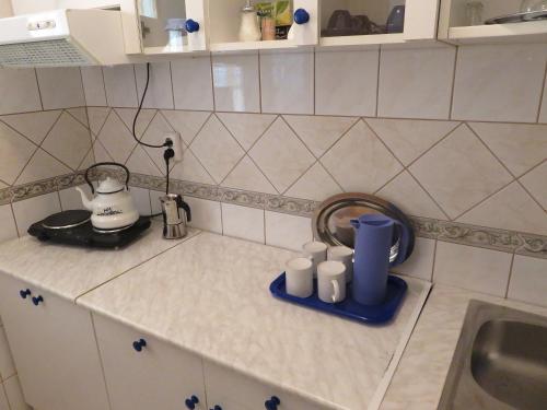 blat kuchenny ze zlewem i blenderem w obiekcie Kővirág Apartman w Hévízie