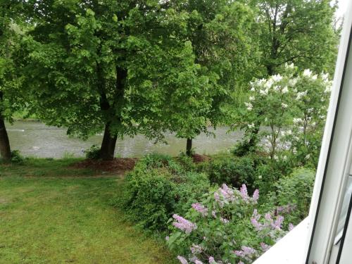 a view of a garden with flowers and trees at Green Apartment in Odorheiu Secuiesc