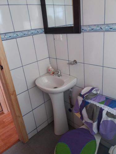 a small bathroom with a white sink in a room at Las Murtas de Chiloe-Cabañas in Chacao