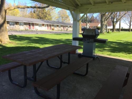 a barbecue grill and picnic table in a park at Dunlop Motel in Goderich