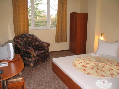 um quarto de hotel com uma cama e uma cadeira em Family Hotel Familya em Ruse