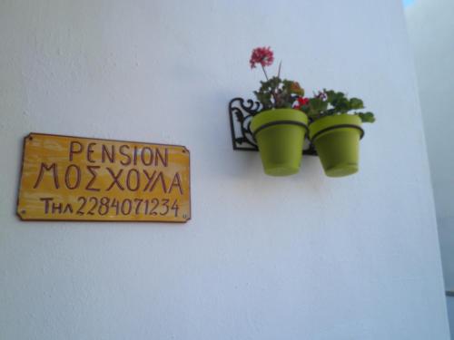 a sign and two green potted plants on a wall at Pension Moschoula in Platis Yialos Sifnos