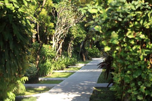 a path through a park with trees and plants at Matahari Bungalow in Legian