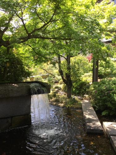 旅館の近くで見られる自然の景観