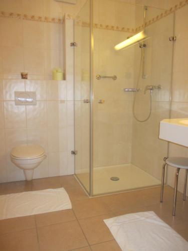 ein Bad mit einer Dusche, einem WC und einem Waschbecken in der Unterkunft GästeHaus Rudolf u. Sandra DENK in Wösendorf