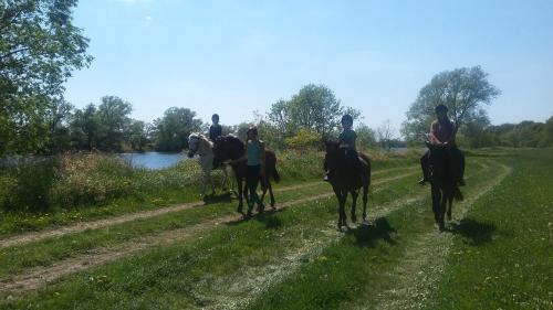 a group of people riding horses down a dirt road at Gutshof Kehnert - Pension & Ferienwohnungen in Kehnert