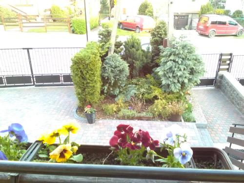 a garden with flowers and plants on a sidewalk at Pokoje AGA in Mikołajki