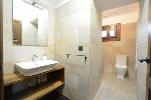 a bathroom with a sink and a toilet at Txantxorena in Zubiri